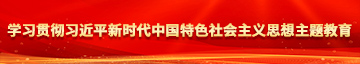 逼逼av网学习贯彻习近平新时代中国特色社会主义思想主题教育